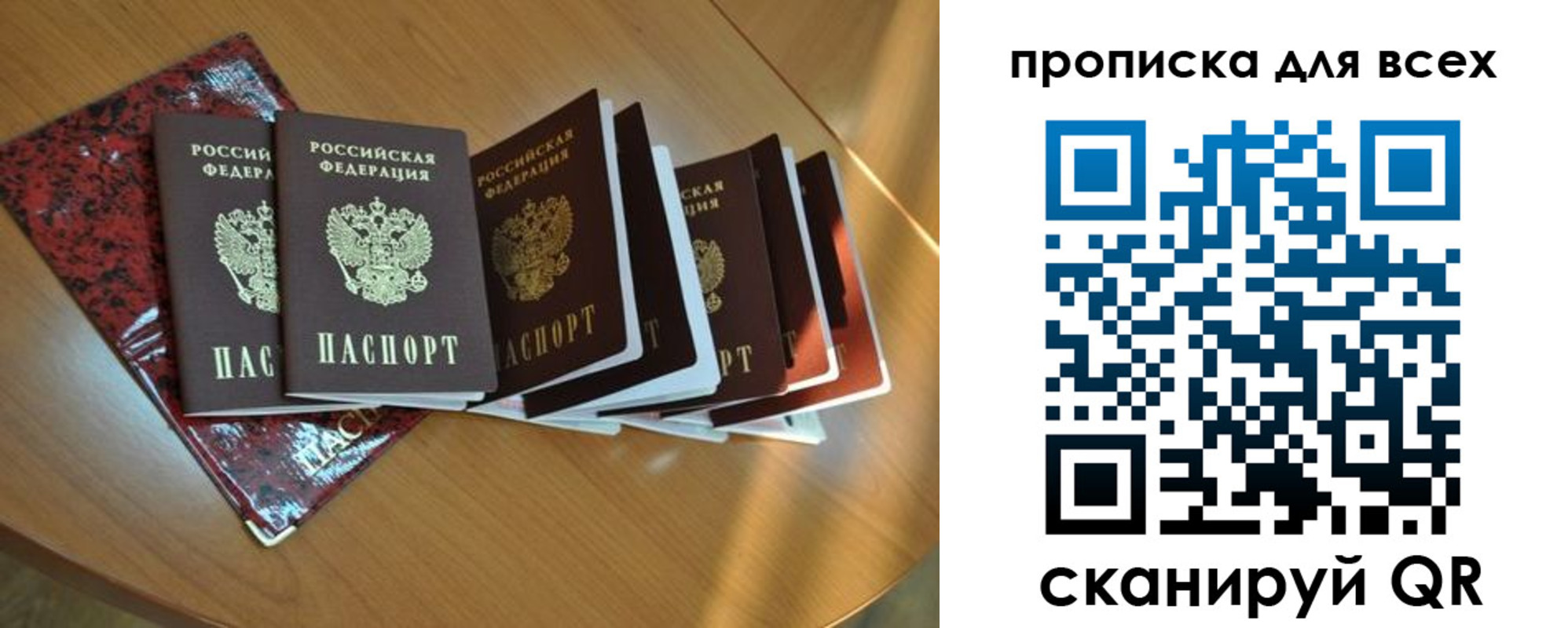 прописка для школы в Нелидово